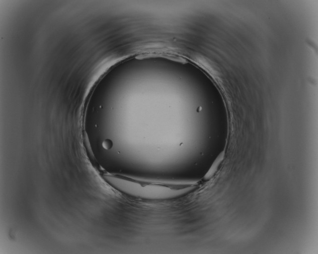 X0000091701392200709071339