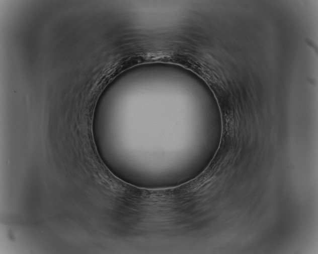 X0000091701393200709071338