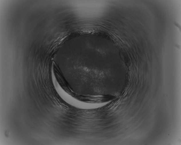 X0000091701394200709071338