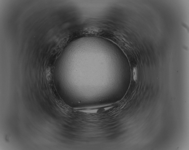 X0000091701395200709071338