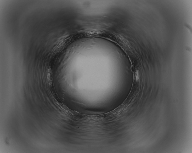 X0000091701396200709071338