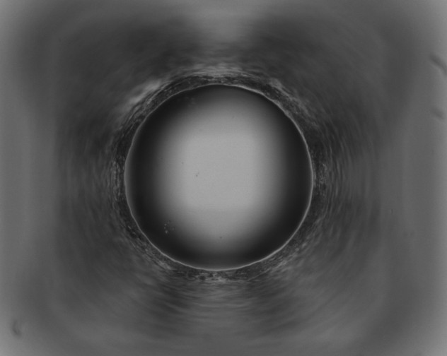 X0000091701398200709071338