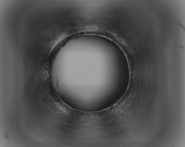 X0000091701400200709071338