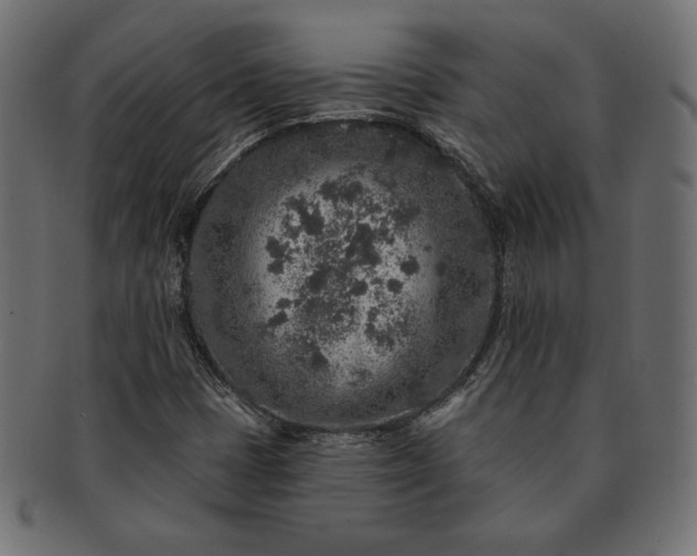 X0000091701401200709071338