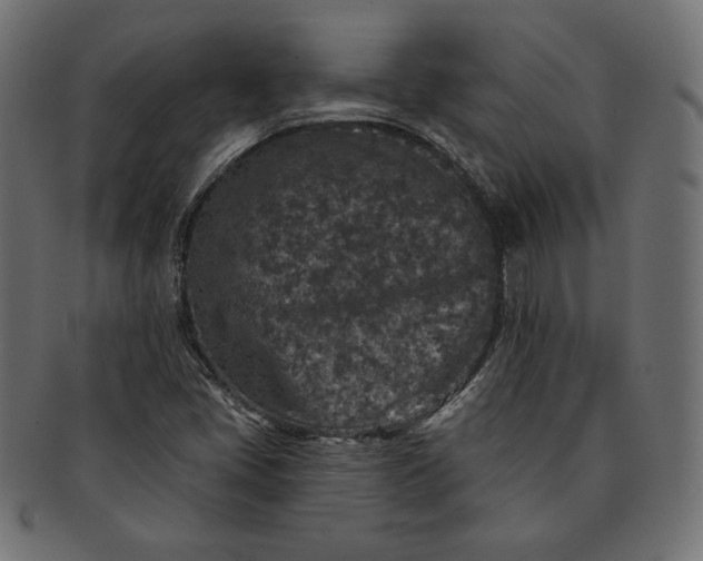 X0000091701405200709071338