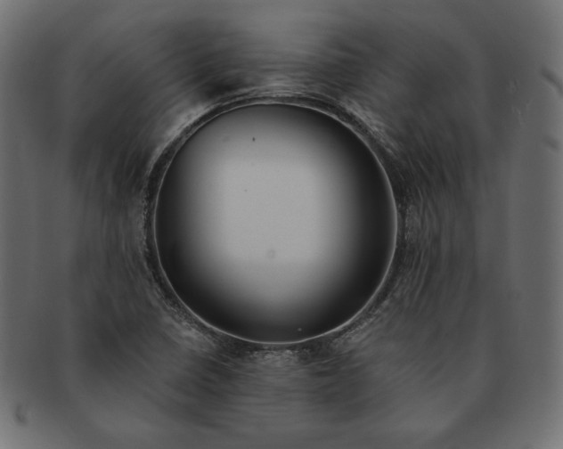 X0000091701410200709071338