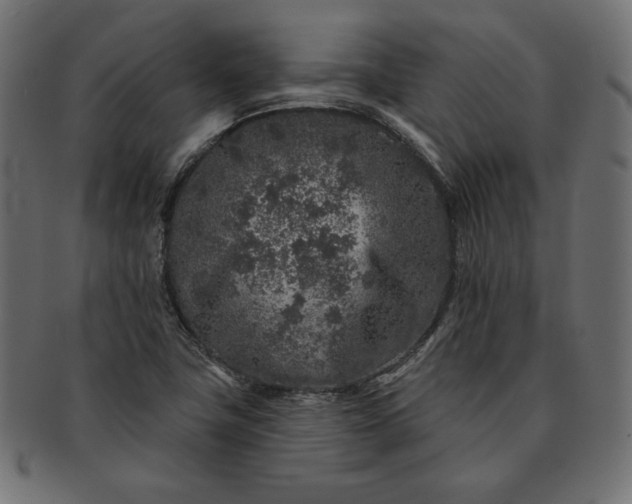 X0000091701411200709071338