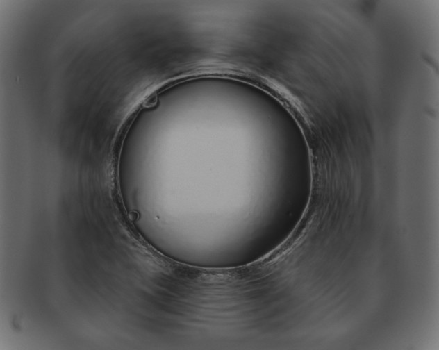 X0000091701415200709071338