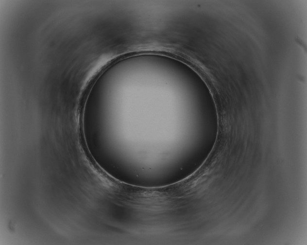 X0000091701416200709071338