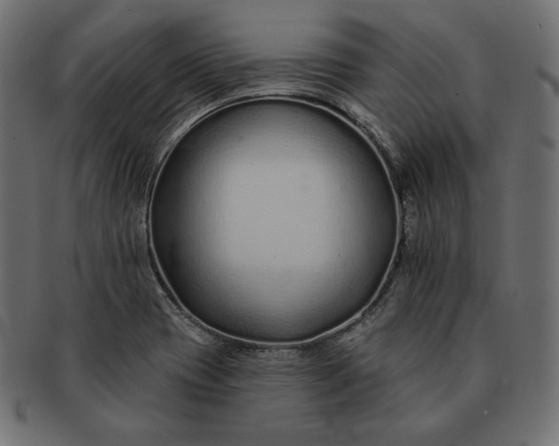 X0000091701417200709071338