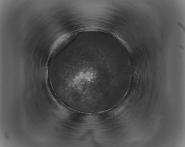 X0000091701418200709071338