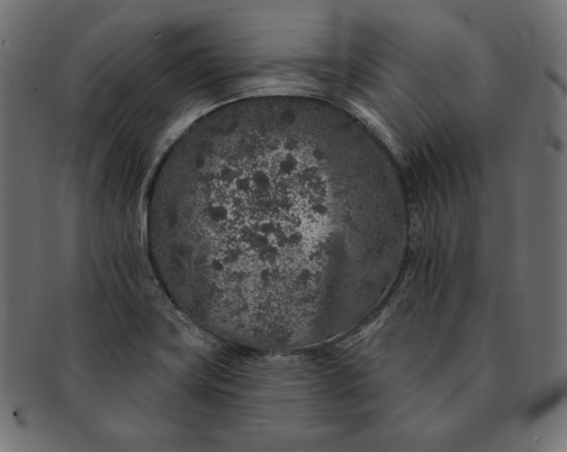 X0000091701419200709071338