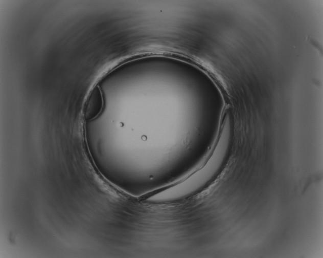 X0000091701421200709071338