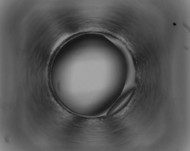 X0000091701422200709071338