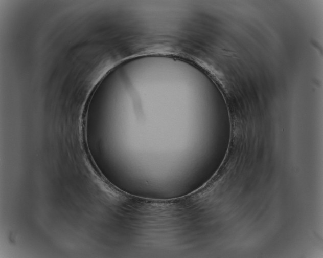 X0000091701423200709071338