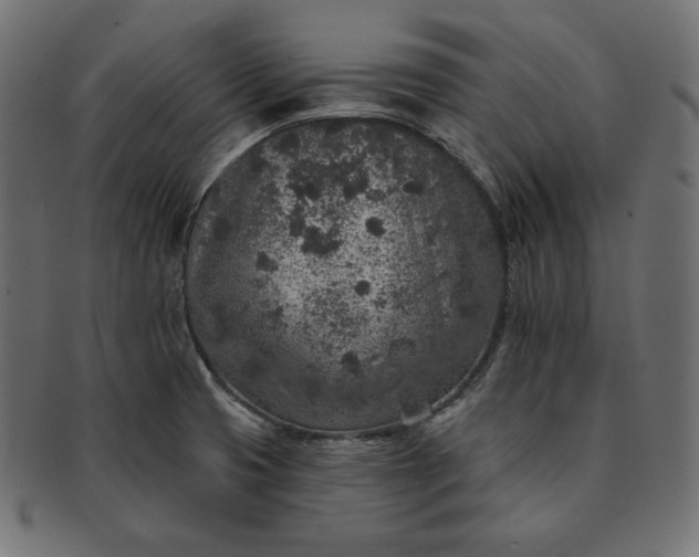 X0000091701425200709071338