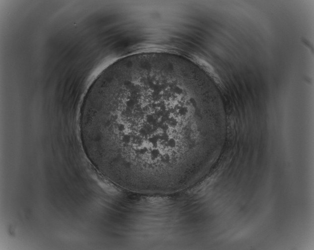 X0000091701427200709071338