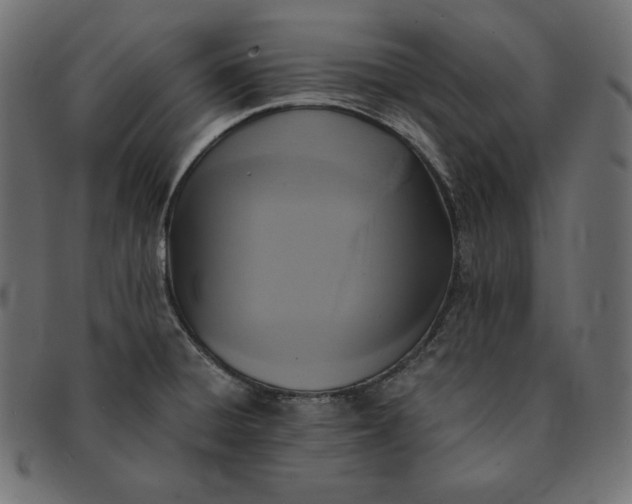 X0000091701428200709071338