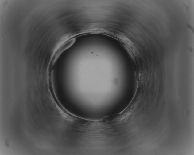 X0000091701430200709071338