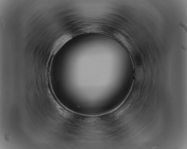 X0000091701434200709071339