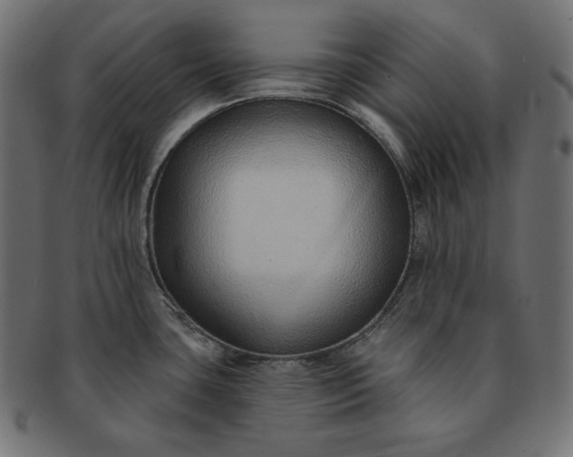 X0000091701435200709071339