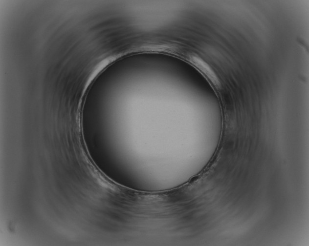 X0000091701436200709071339