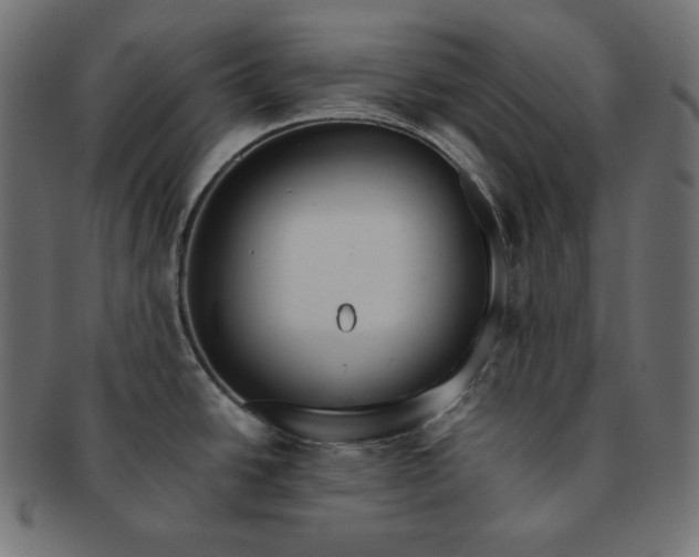 X0000091701438200709071339