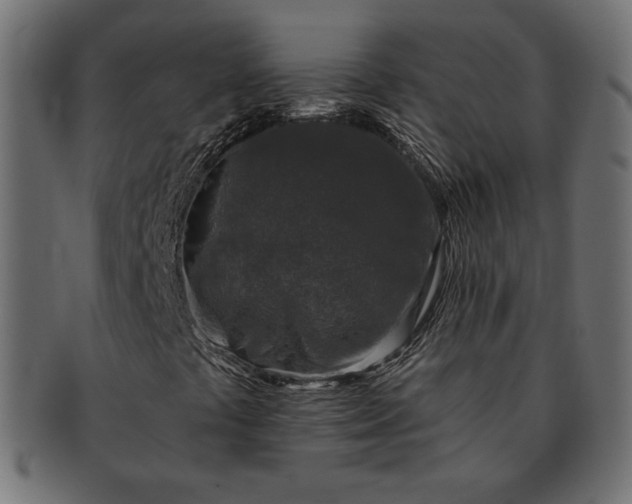 X0000091701441200709071338