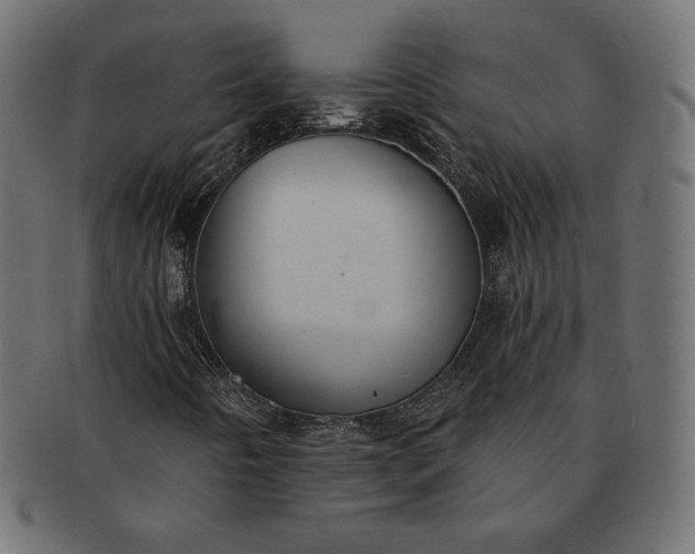 X0000091701442200709071338