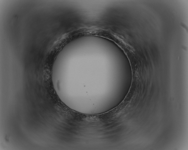 X0000091701447200709071338