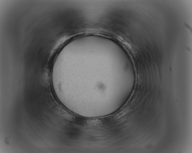 X0000091701454200709071338