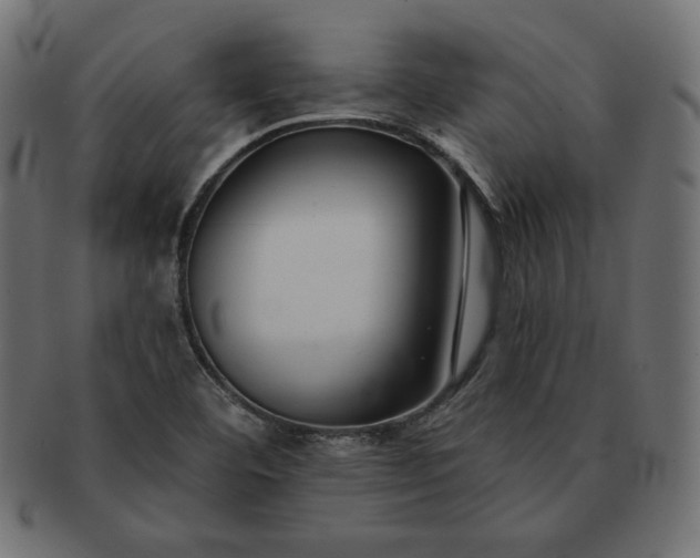 X0000091701460200709071338