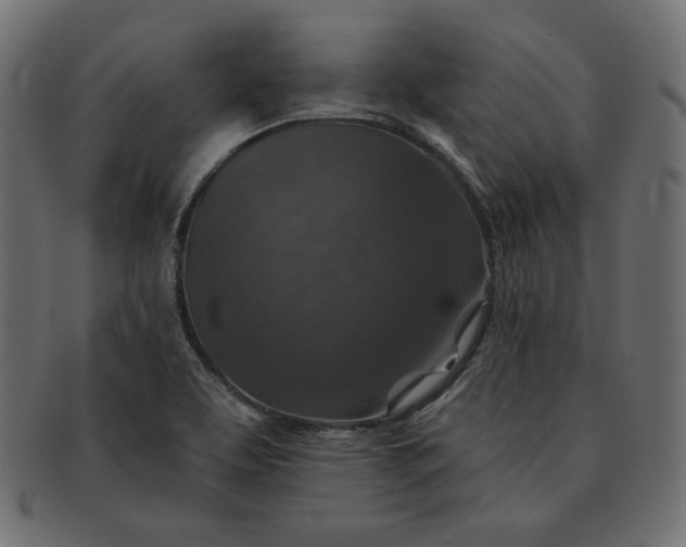 X0000091701463200709071338