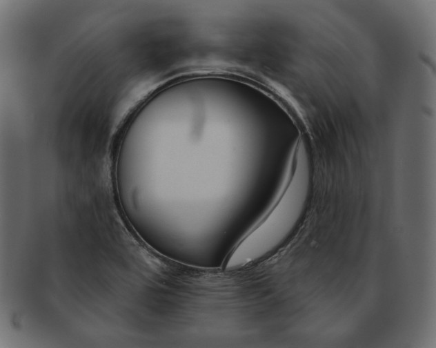 X0000091701464200709071338