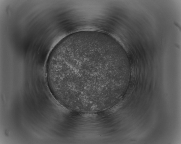 X0000091701466200709071338