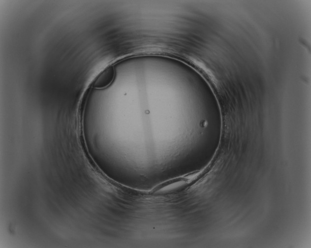 X0000091701467200709071338