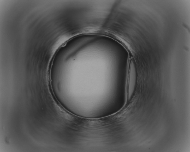 X0000091701471200709071338