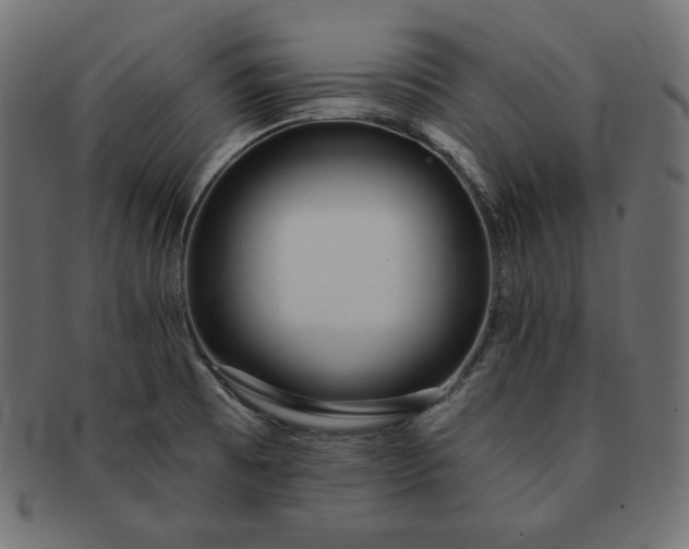 X0000091701473200709071337