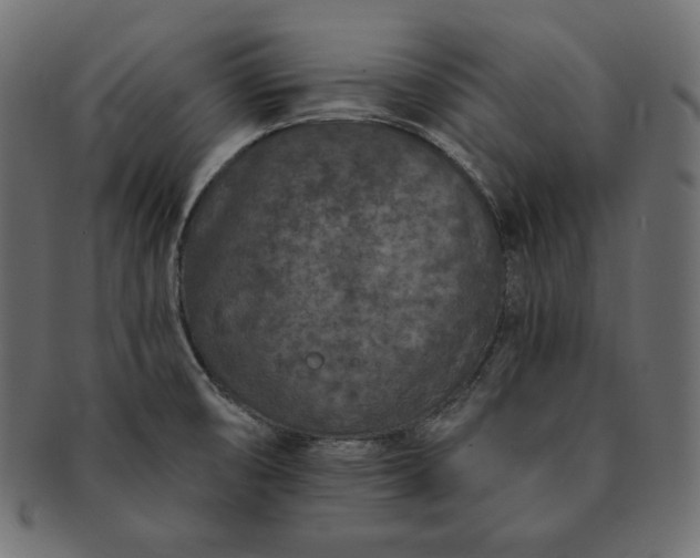 X0000091701474200709071337
