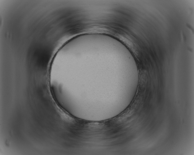 X0000091701478200709071337