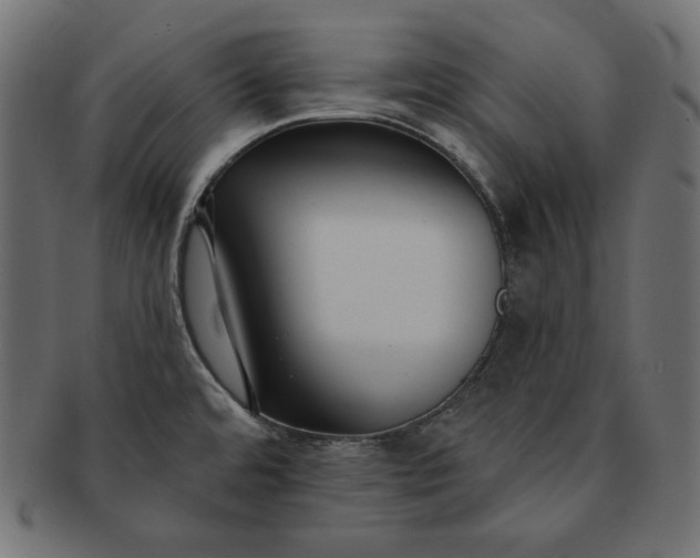 X0000091701480200709071337