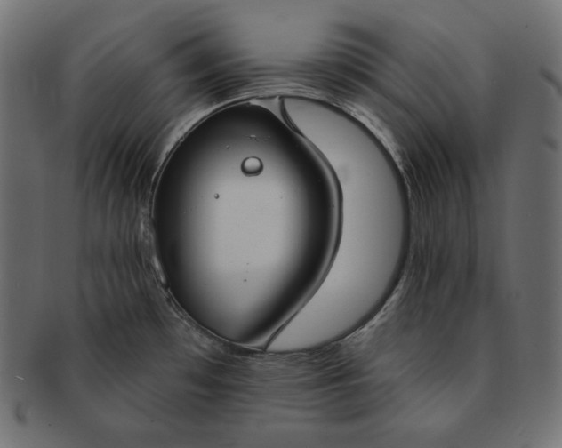 X0000091701481200709071337