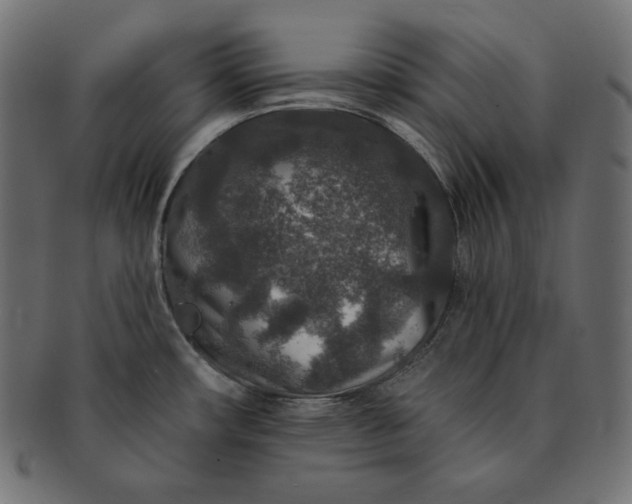 X0000091701482200709071337