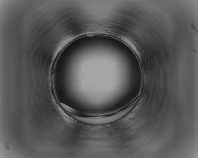 X0000091701485200709071337