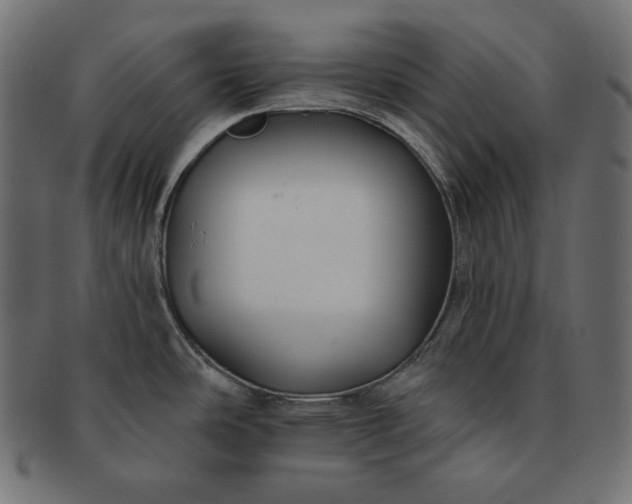 X0000091701486200709071337