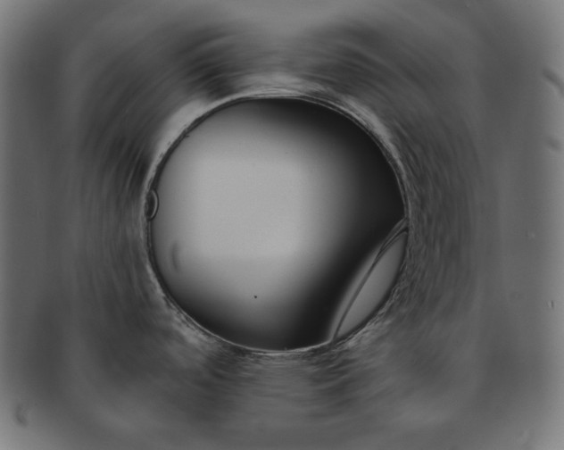 X0000091701488200709071337