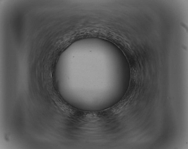 X0000091701489200709071337