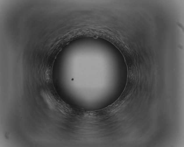 X0000091701490200709071337