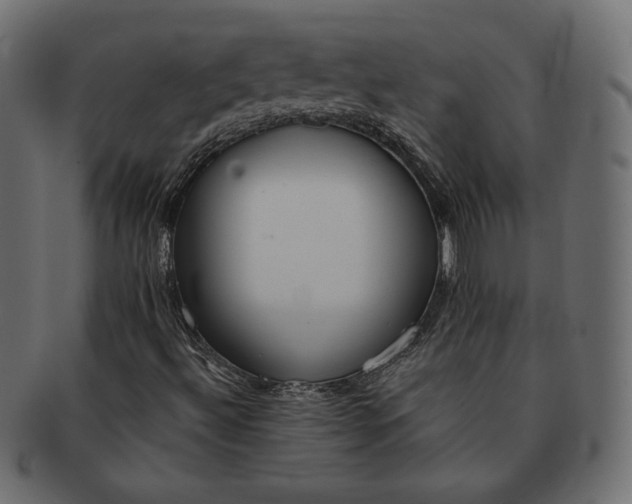 X0000091701492200709071337