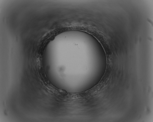 X0000091701493200709071337